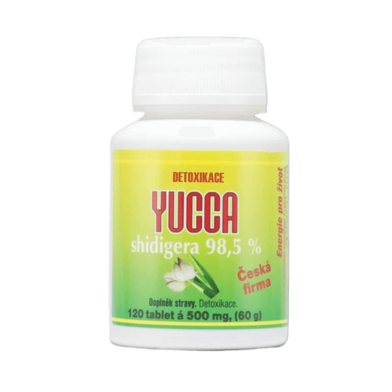 Yucca Yucca