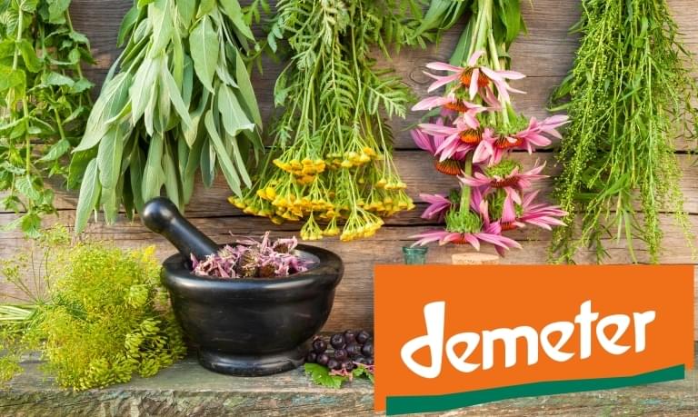 Demeter-bylines-logo Demeter-bylines-logo