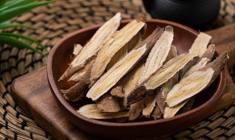 Kozinec-blanity-astragalus.jpg